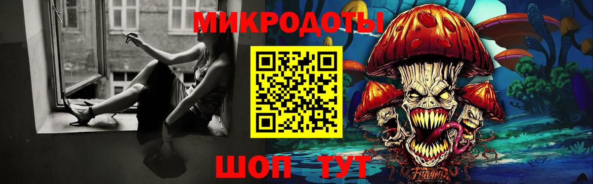 Псилоцибиновые грибы Psilocybe Алексин